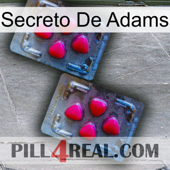 Adams Secret 14.jpg